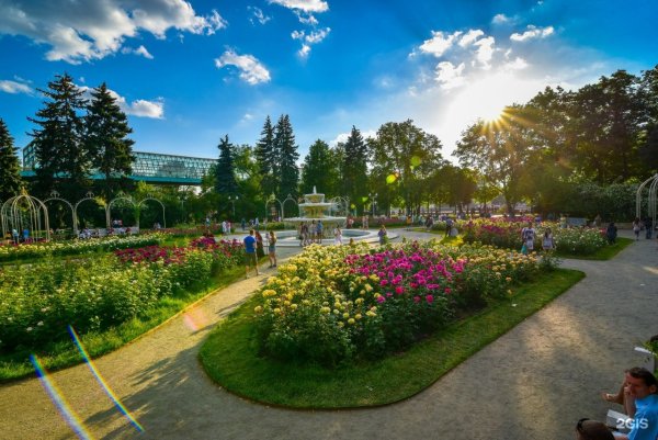 Парк Горького Москва летом