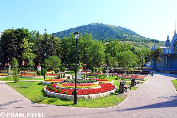 Цветник Пятигорск 2020