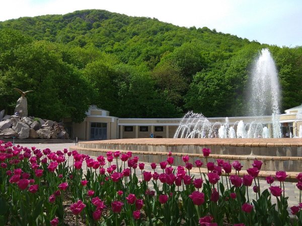 Пятигорск парк Железноводск