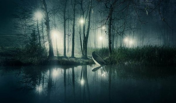 Озеро в лесу ночью