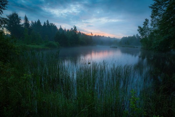 Лесное озеро