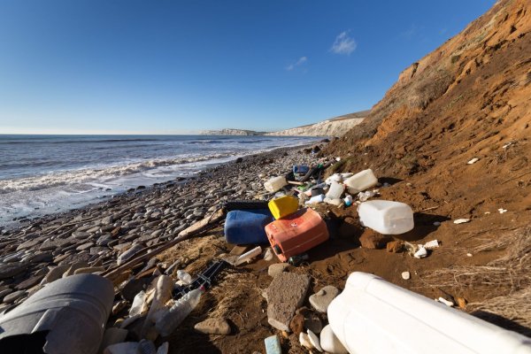 Байкал 2020 загрязнение