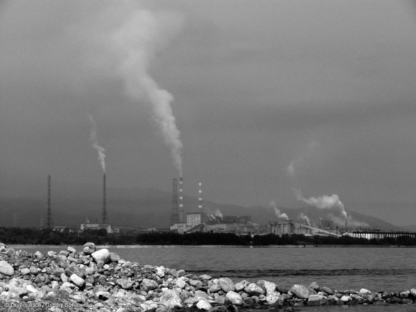 Загрязнение Байкала целлюлозно-бумажным комбинатом