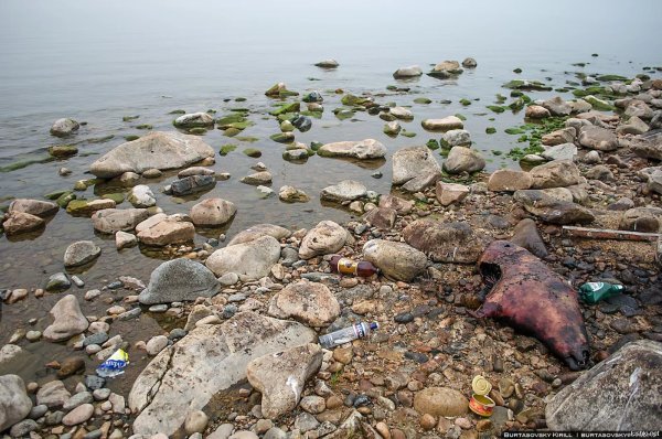 Мусор на озере Байкал