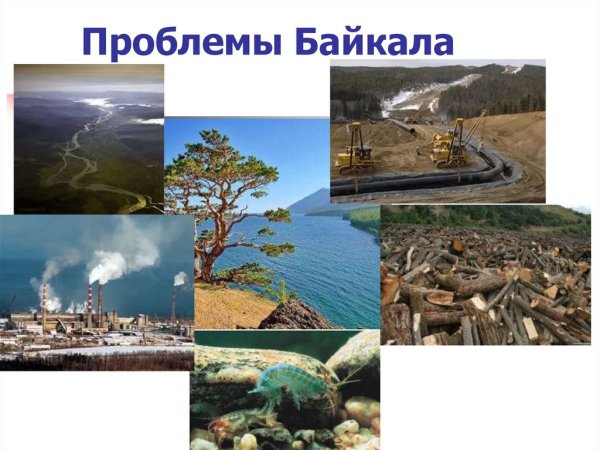 Экология озера Байкал