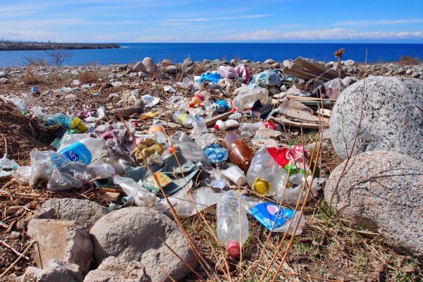 Мусор на озере Байкал