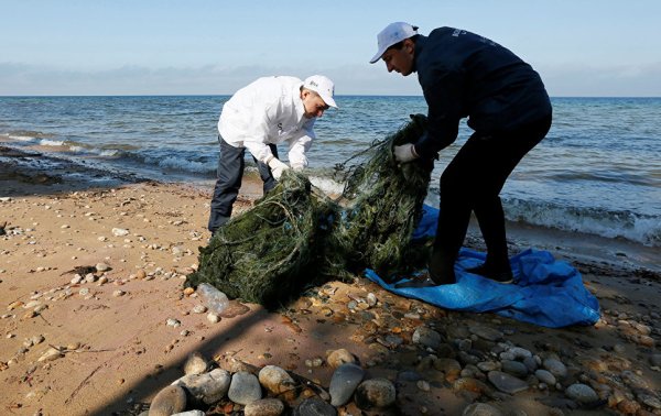 Загрязненное озеро Байкал