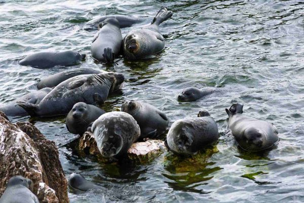 Озеро Байкал загрязнено
