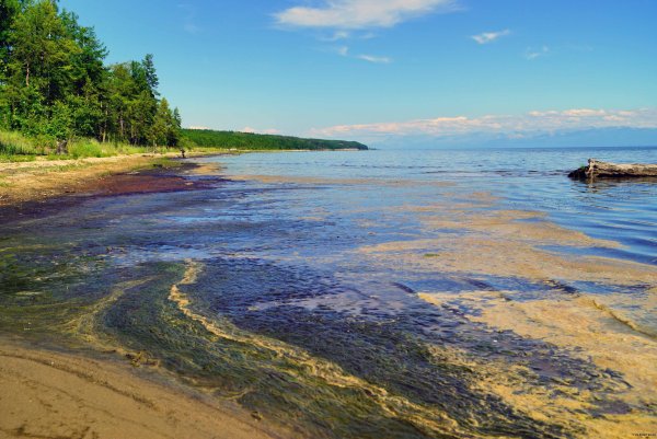 Загрязнение озера Байкал