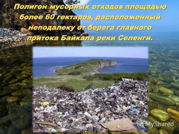 Байкал проблемы экологии