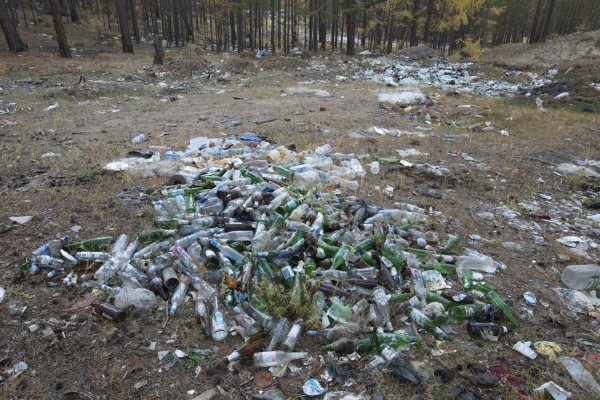 Отходы БЦБК на Байкале