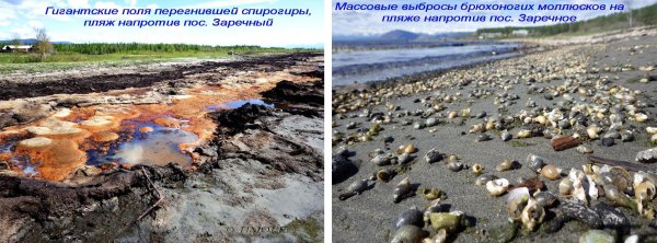 Загрязнение Байкала водами рек