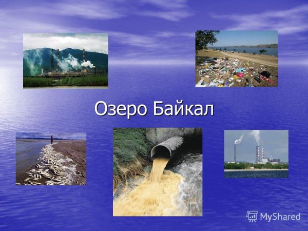 Экология загрязнение озера Байкал
