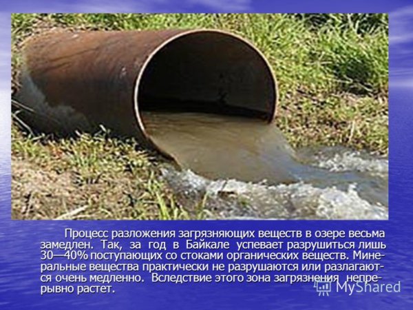 Экологические проблемы Байкала