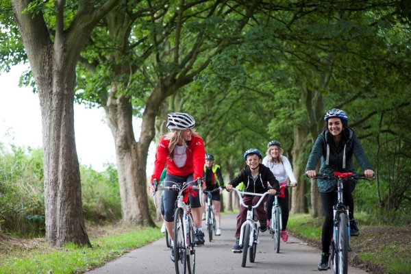 Прогулка на велосипеде