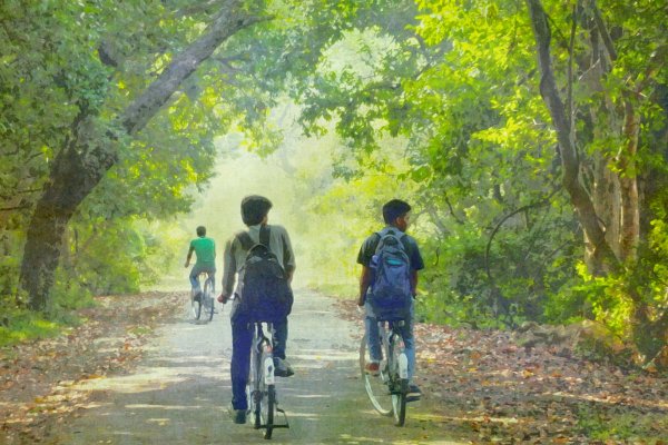 Прогулка на велосипеде