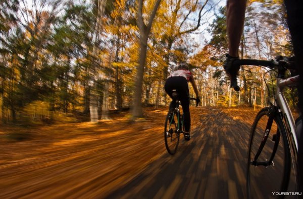 Прогулка на велосипеде