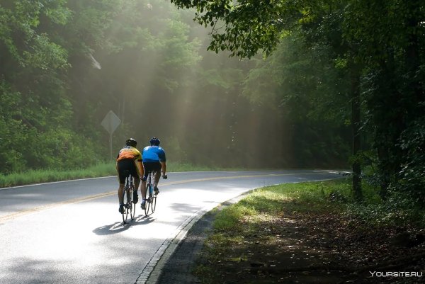 Велосипедист на дороге