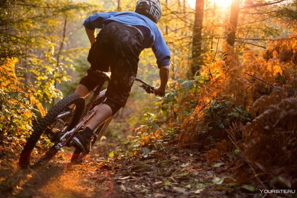 Спорт осень