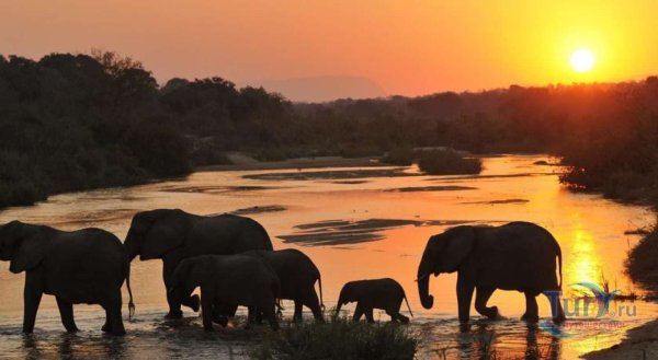 Парк Лимпопо ЮАР