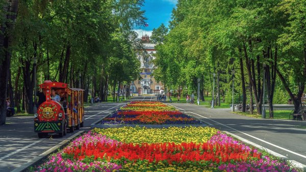 Сад Металлургов Новокузнецк фото