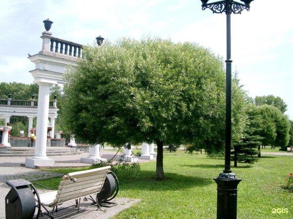 Парк сквер Новокузнецк