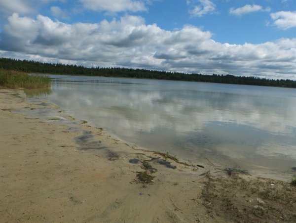 Белое озеро Ульяновская область