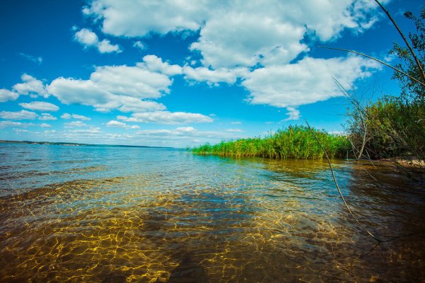 Белое озеро Ульяновская область