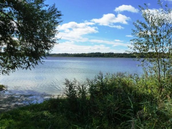 Белое озеро Новоспасский район