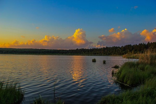 Чекалинское озеро Кузоватовский район