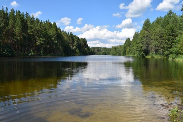 Белое озеро Ульяновская область
