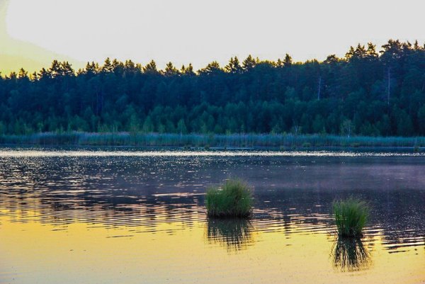 Чекалинское озеро Ульяновская область Кузоватовский