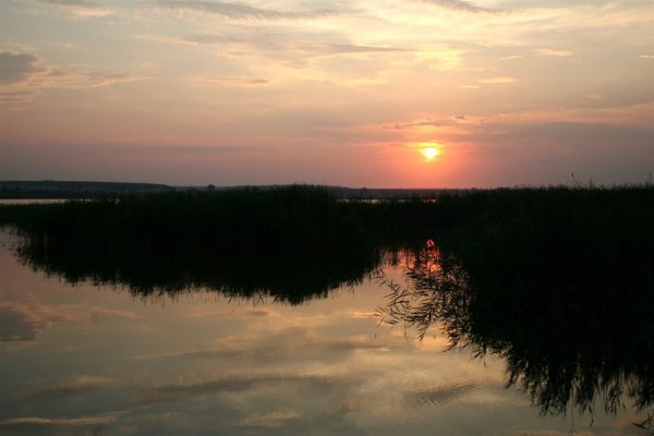 Белолебяжье озеро Ульяновская
