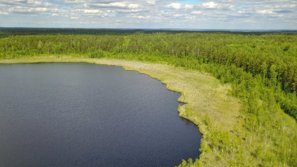 Ульяновская область Николаевский район озеро
