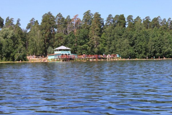 Санаторий белое озеро Ульяновская область