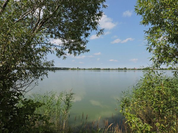 Белое озеро Ульяновская область Николаевский