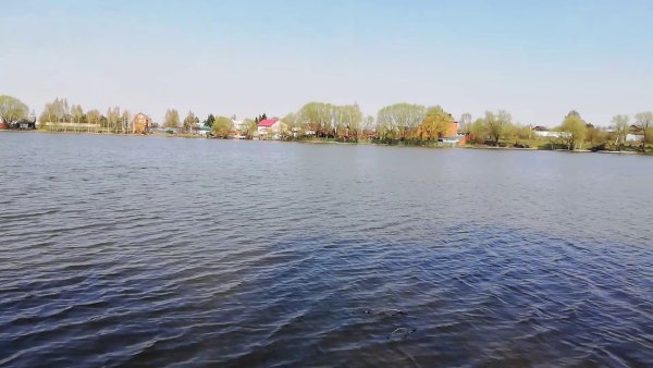 Белое озеро в Николаевском районе Ульяновской области