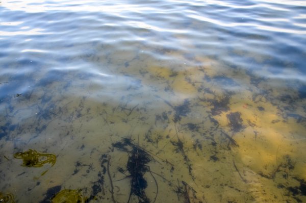 Белое озеро Ульяновск