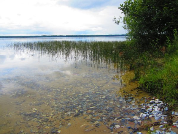 Белое озеро СПБ