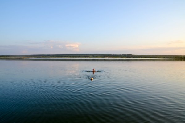Белолебяжье озеро Ульяновская область