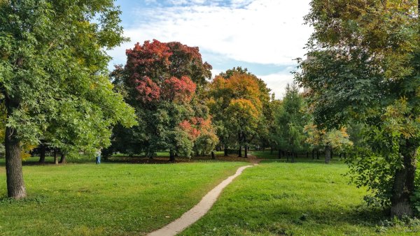 Южно Приморский парк СПБ
