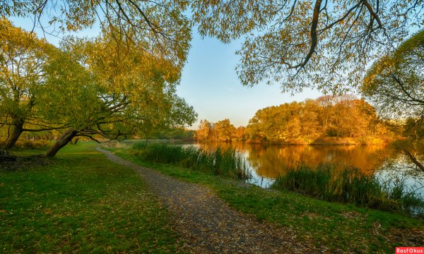 Южно Приморский парк СПБ