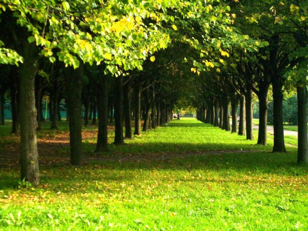 Южно-Приморский парк