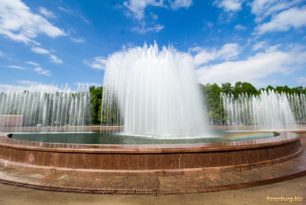 Южно-Приморский парк в Санкт-Петербурге