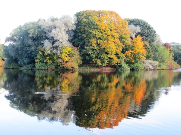 Южно Приморский парк Победы СПБ
