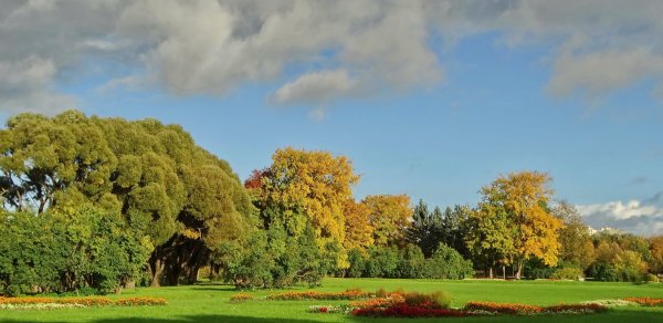 Южно Приморский парк Поляна