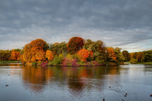 Южно Приморский парк СПБ