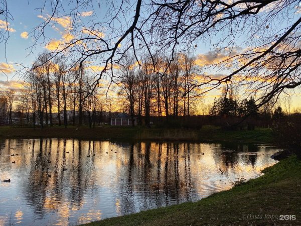 Южно Приморский парк Победы район