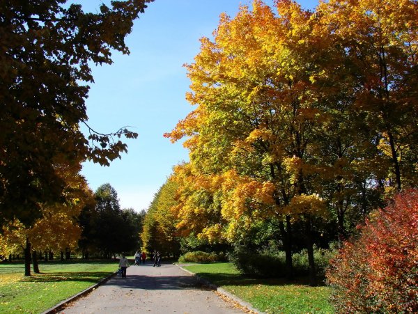 Южно Приморский парк СПБ