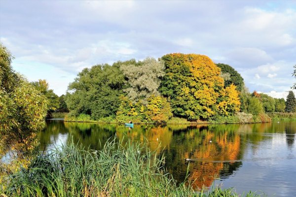 Южно-Приморский парк в Санкт-Петербурге